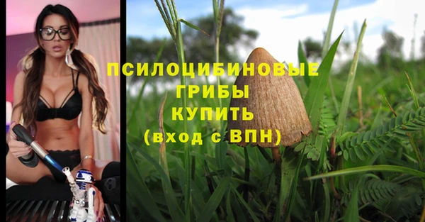 MDMA Беломорск