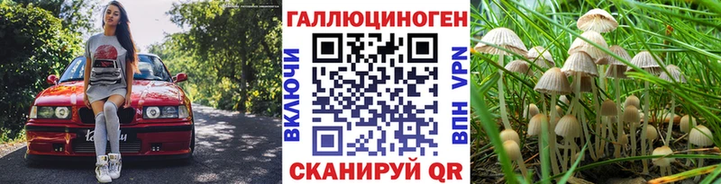 цены наркотик  hydra ТОР  Псилоцибиновые грибы GOLDEN TEACHER  Ногинск 